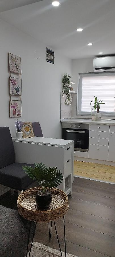 Queen Apartmancic Zajecar Ngoại thất bức ảnh
